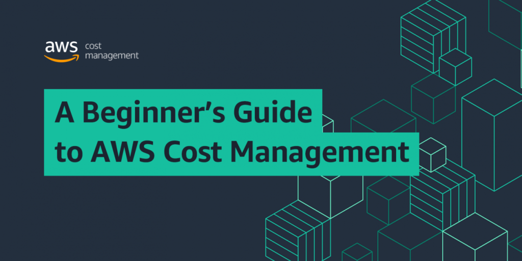 AWS cost management strategies