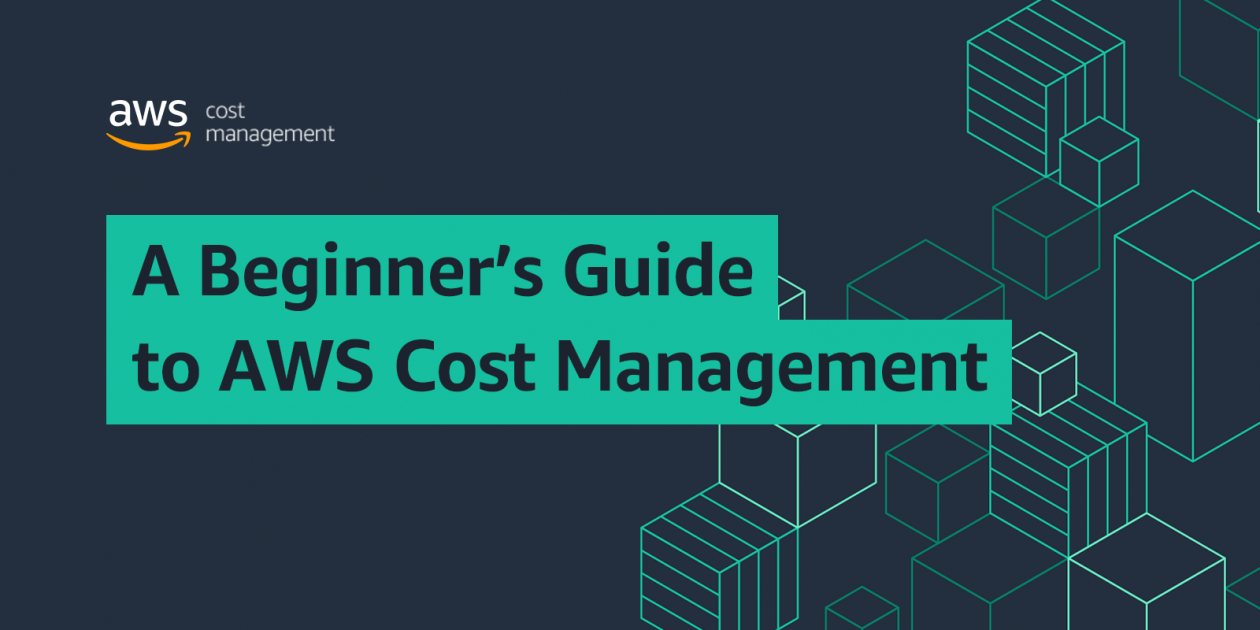 AWS cost management strategies